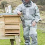 Matthew Davies image of a bee suit.