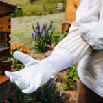 Matthew Davies image of beekeeping gloves.