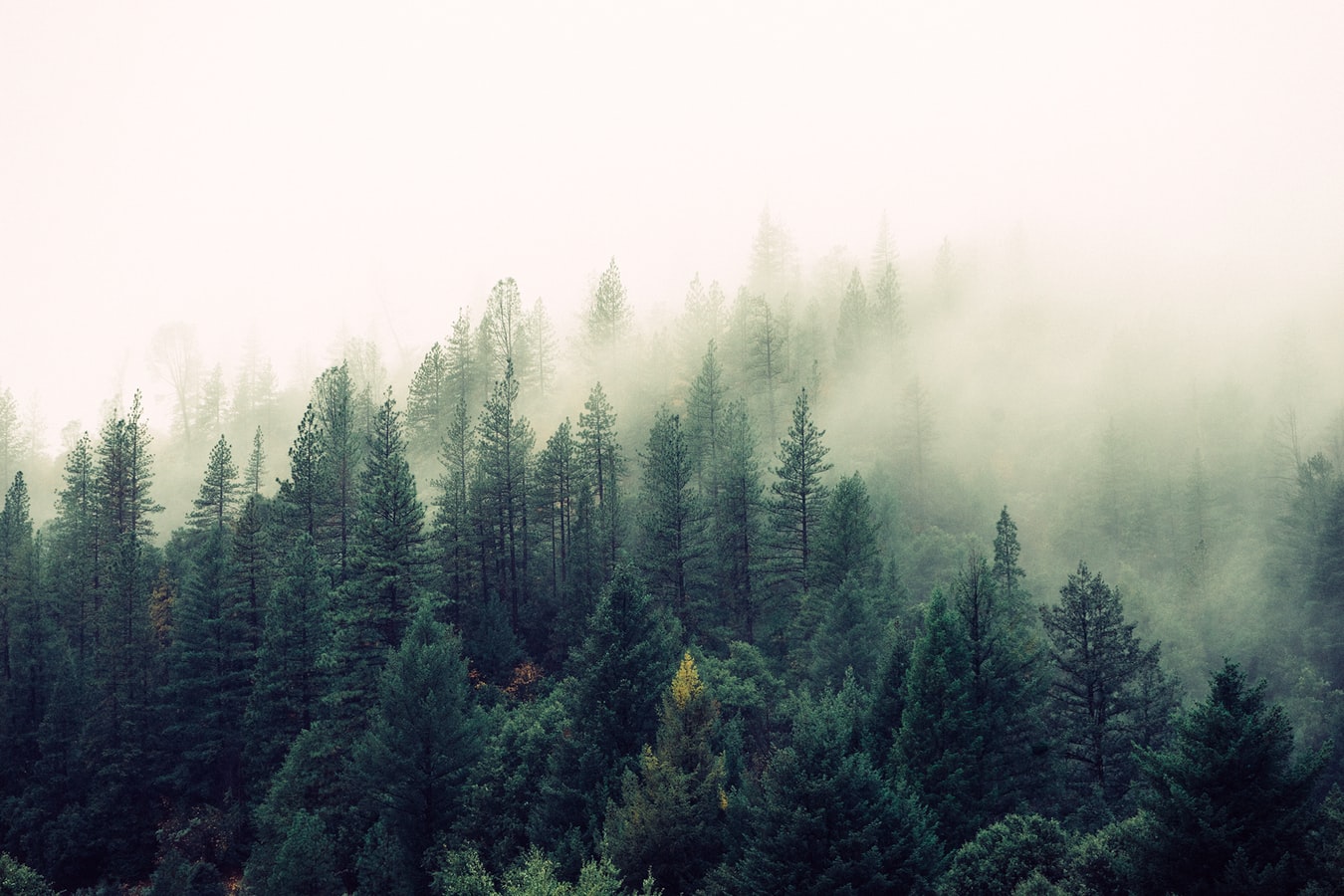 Matthew Davies image of a mountain with the fog rolling in.