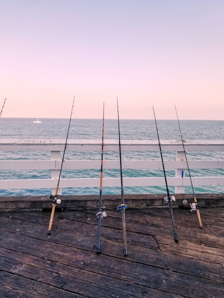 Matthew Davies Image of Fishing Rods