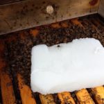 Matthew Davies image of a block of sugar for bees.
