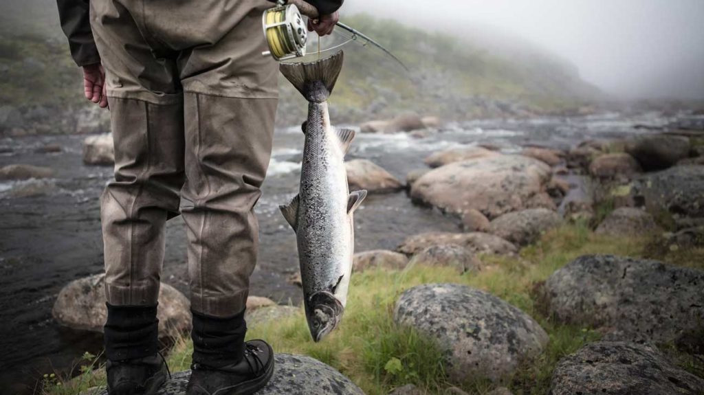 Matthew Davies image of a person with a fish standing by a stream.