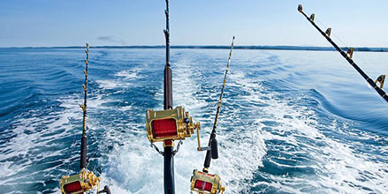 Matthew Davies image of four fishing polls out in the water from a boat