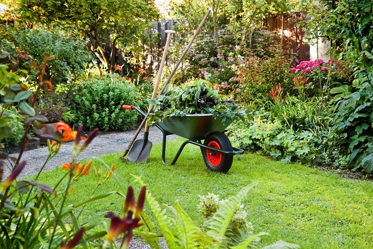 Matthew Davies image of a wheelbarrow and gardening tools ready to transform the garden into something special