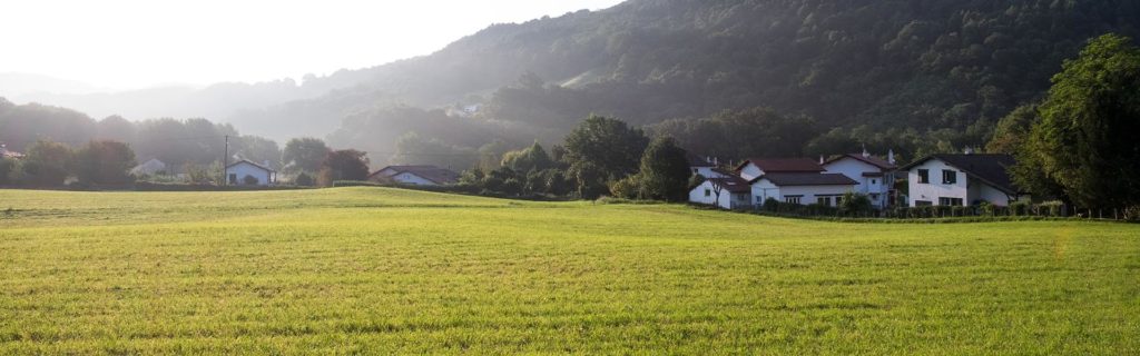 Matthew Davies image of a homestead that is ready for summer